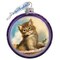G.DeBrekht 764-021 Handcrafted Cat Glass Ornaments